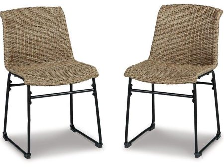 Amaris Outdoor Dining Chair (Set of 2) For Discount