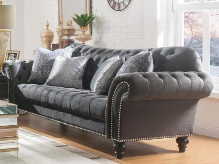 Acme Furniture Gaura Sofa in Dark Gray Velvet 53090 Online now