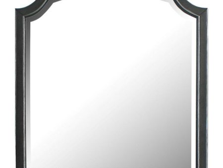 Acme Furniture House Beatrice Mirror in Light Gray 28814 Discount