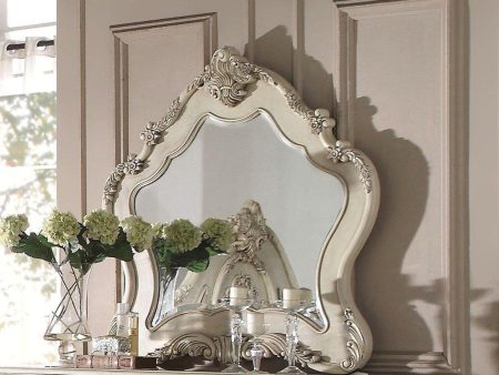 Acme Ragenardus Mirror in Antique White 27014 Sale