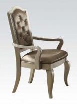 Acme Francesca Arm Chair in Silver Champagne (Set of 2) 62083 Discount